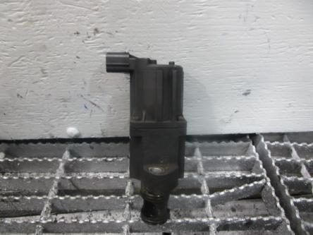 International Exhaust Valve